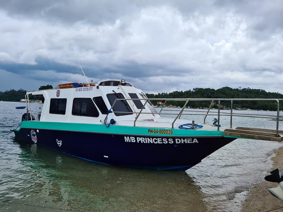 Water Taxi Puerto Galera Online Services